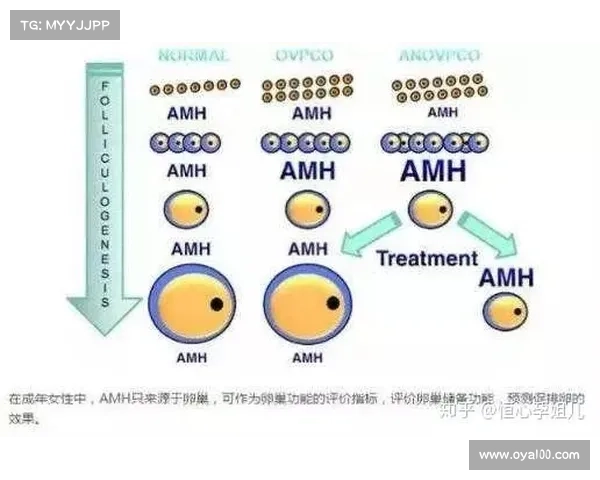 如何选择宝宝练级的最佳地点 提升效率的关键要素解析 如何选择宝宝练级的最佳地点 提升效率的关键要素解析