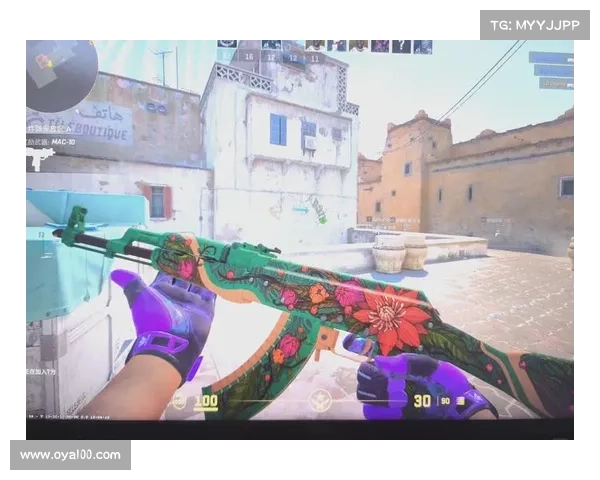 2025年俄罗斯CSGO皮肤交易平台推荐五大热门网站