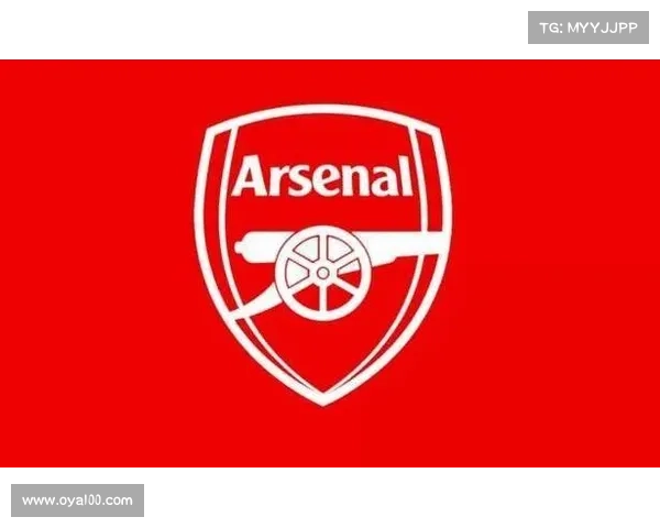 从红色象征解读阿森纳队徽的文化意义与精神内涵深层价值特质